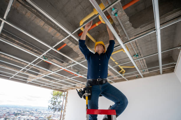 Best Water Leak Repair  in Millsboro, DE