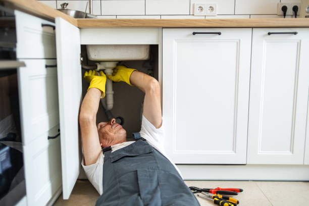 Best Plumbing Services Near Me  in Millsboro, DE