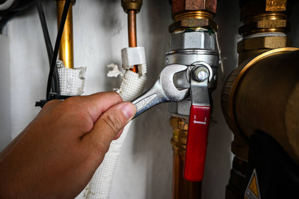 Best Emergency Plumbing Repair  in Millsboro, DE